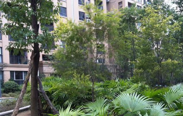 w66.利来(中国区)_来利国际旗舰厅
